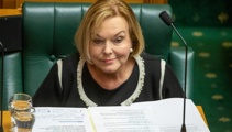 ‘The whole thing’s a total mess’: Judith Collins slams Labour’s health system overhaul