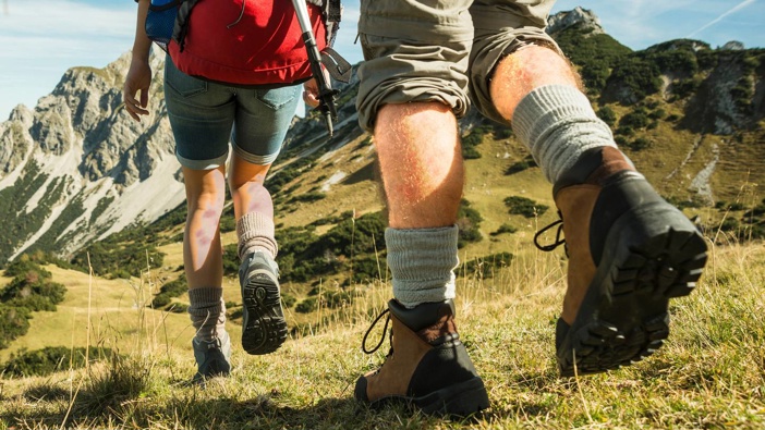 Trampers on one of New Zealand's 'Great Walks' reported bites through February and March. Photo / Getty Images