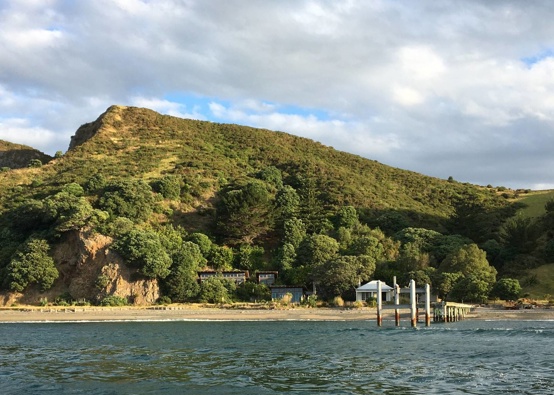 The luxury home on Motukawaiti is being slowly taken over by advancing scrub and bush. Photo / David Fisher