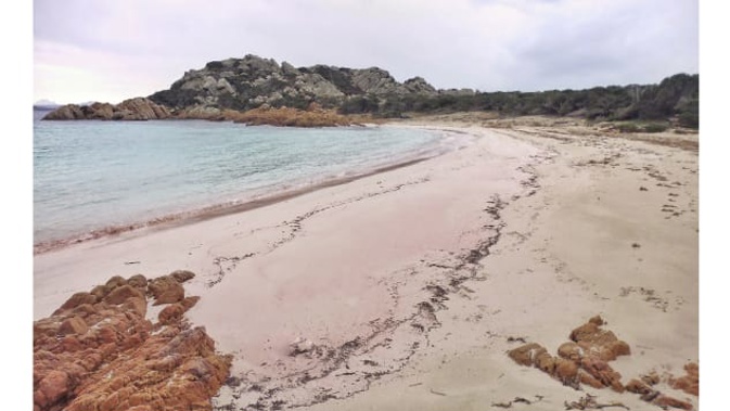Mauro Morandi has been living on the Isle of Budelli since 1989. (Photo / Mauro Morandi)