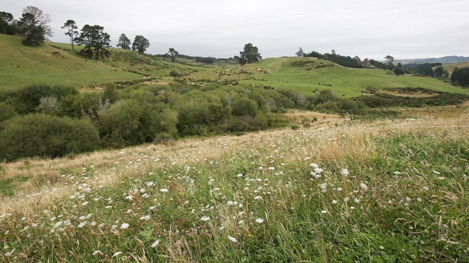Rural land deals, including leasing, require consent. Photo / File