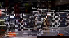 (Photo / Dean Purcell)