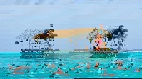 David Coombes: Cook Islands bubble announcement sees 4000% increase in holiday package views