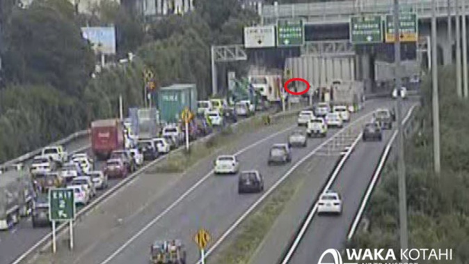 Emergency services rushed to Grafton Bridge on the outskirts of the Auckland CBD after a person fell off the bridge. (Image / NZTA)