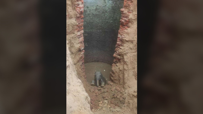 A baby elephant was rescued from a well in a village in India's Jharkhand state.