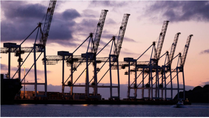 A stevedore who worked casually at the Port of Tauranga is among eight defendants charged following a police investigation into an alleged international drug conspiracy. (Photo / Mike Scott)