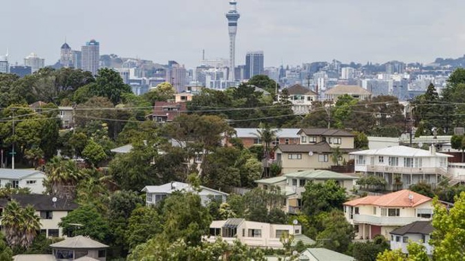 (Photo / NZ Herald)