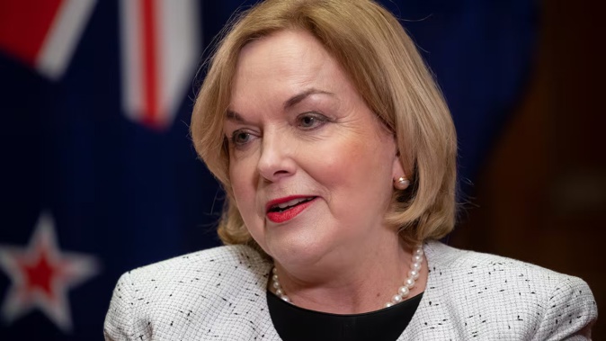 Public Service Minister Judith Collins. Photo / Mark Mitchell