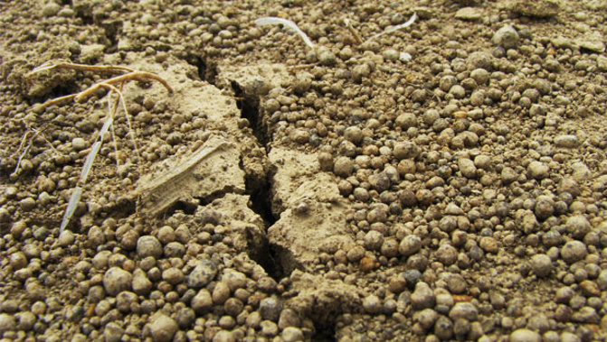 (Photo / Stock Xchng)