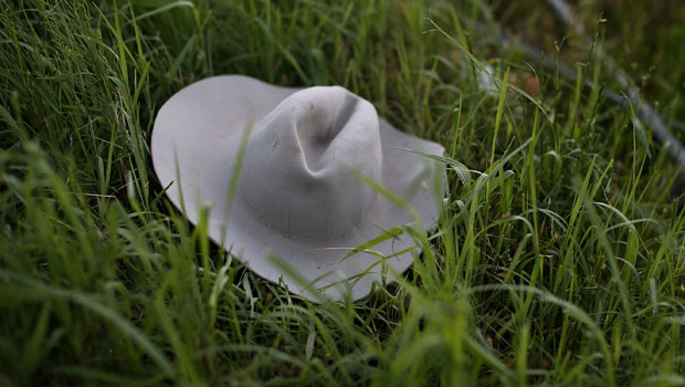 Photo / Getty Images