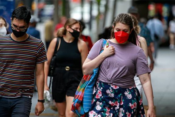 (Photo / NZ Herald)
