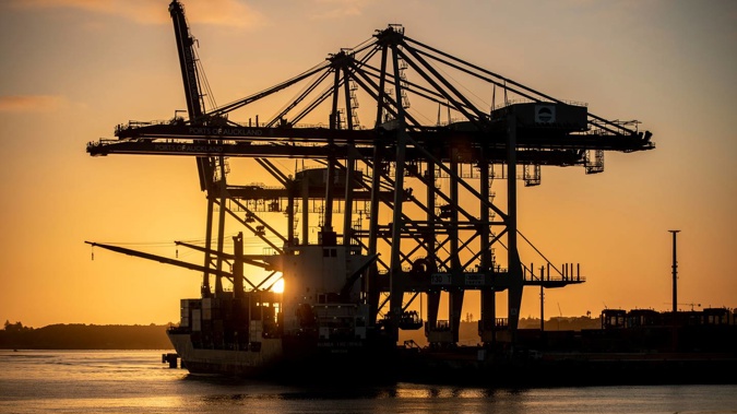 Ports of Auckland ditches automation in best interests of NZ supply chain. Photo / Michael Craig