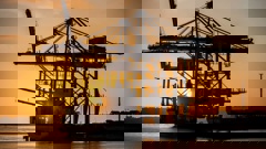 Ports of Auckland ditches automation in best interests of NZ supply chain. Photo / Michael Craig
