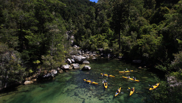 Government help for the Abel Tasman Birdsong Trust in its effort to removing wilding conifer at the National Park (Getty Images)