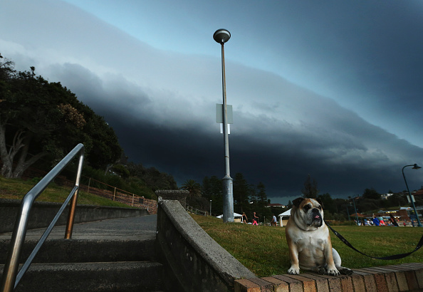 Storm thrashes Sydney