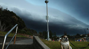 Storm thrashes Sydney