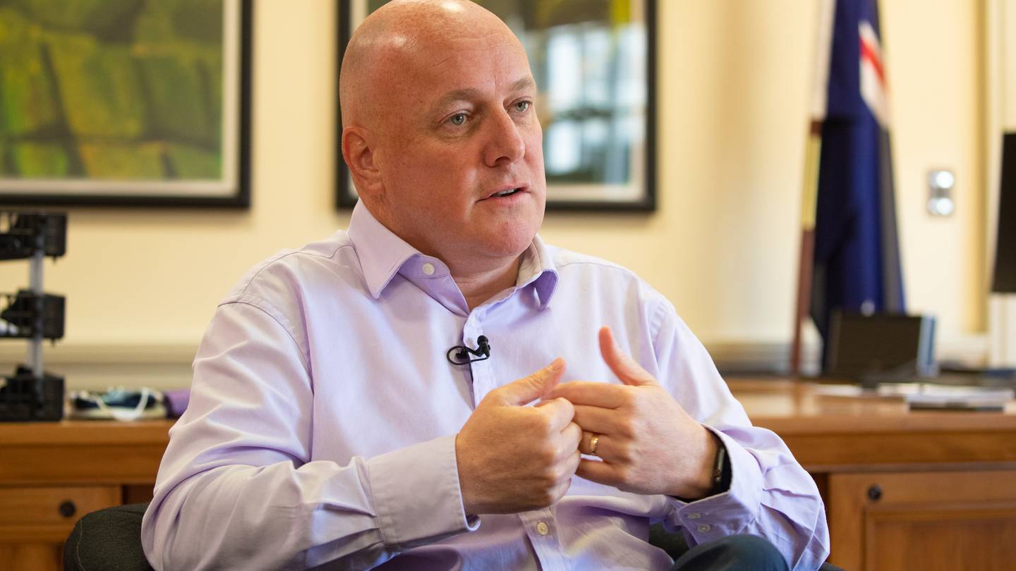  Photo / Mark Mitchell.