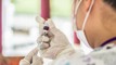 Dr Angus Chambers: GP on rising measles cases and WHO's warning to New Zealand