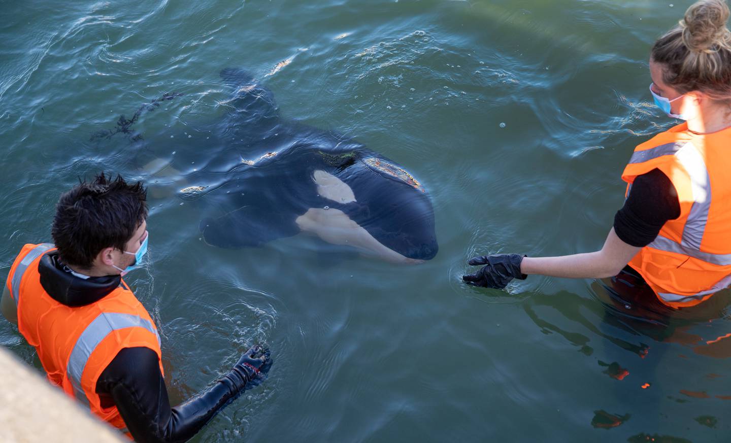 (Photo / Mark Mitchell)