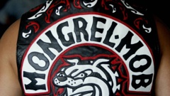 A stolen Mongrel Mob patch led to a car chase ending in a serious crash at a Rotorua intersection. Photo / NZME