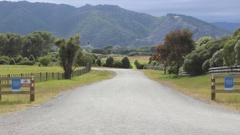 Lancelot Grove leads into Otaraua Park. Photo / David Haxton