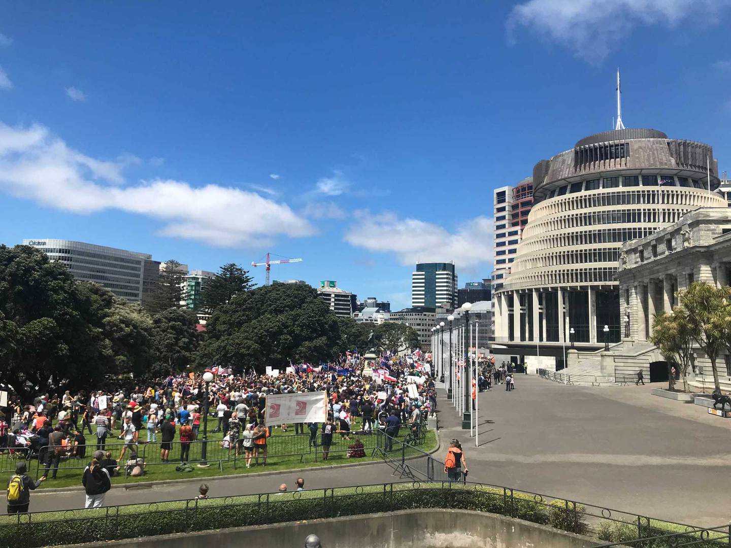 (Photo / Michael Neilson)