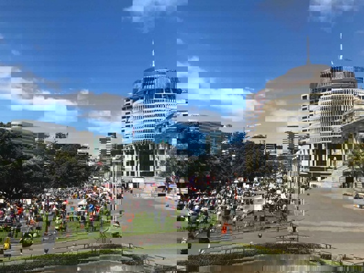 (Photo / Michael Neilson)