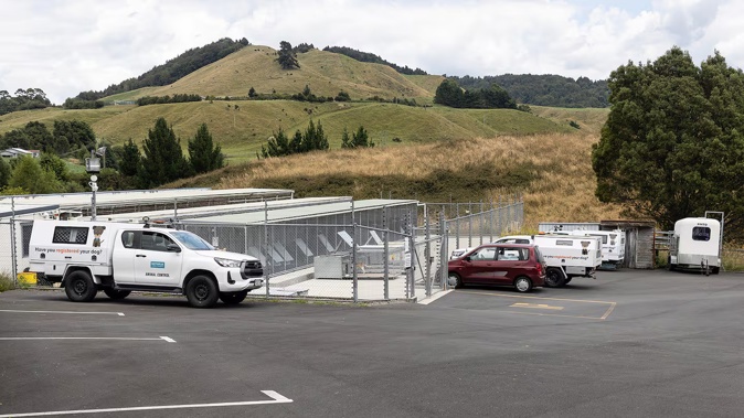 A dog that attacked two police officers is being held at the Rotorua pound. Photo / Andrew Warner