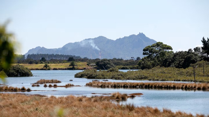 Matthew Taylor had gone for a kayak in the Ruakākā estuary on Monday. Photo / NZME