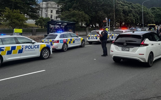 'F**king arrest them all': Brawl erupts inside Wellington courtroom, armed police respond