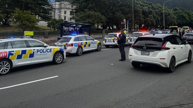 Police responded to a brawl inside the Wellington High Court this morning. Photo / Ethan Griffiths