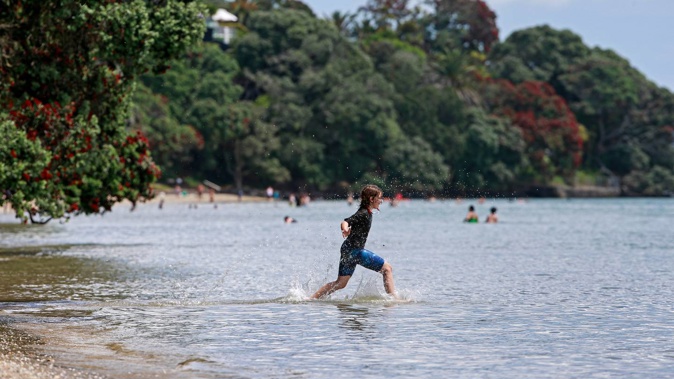 Parliamentary Commissioner for the Environment wants government spending on the environment collated, to paint a clearer picture of where funding's going and what it's achieving. Photo / Alex Burton