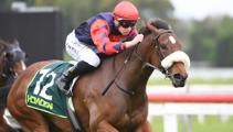 TAB Racing Club to close