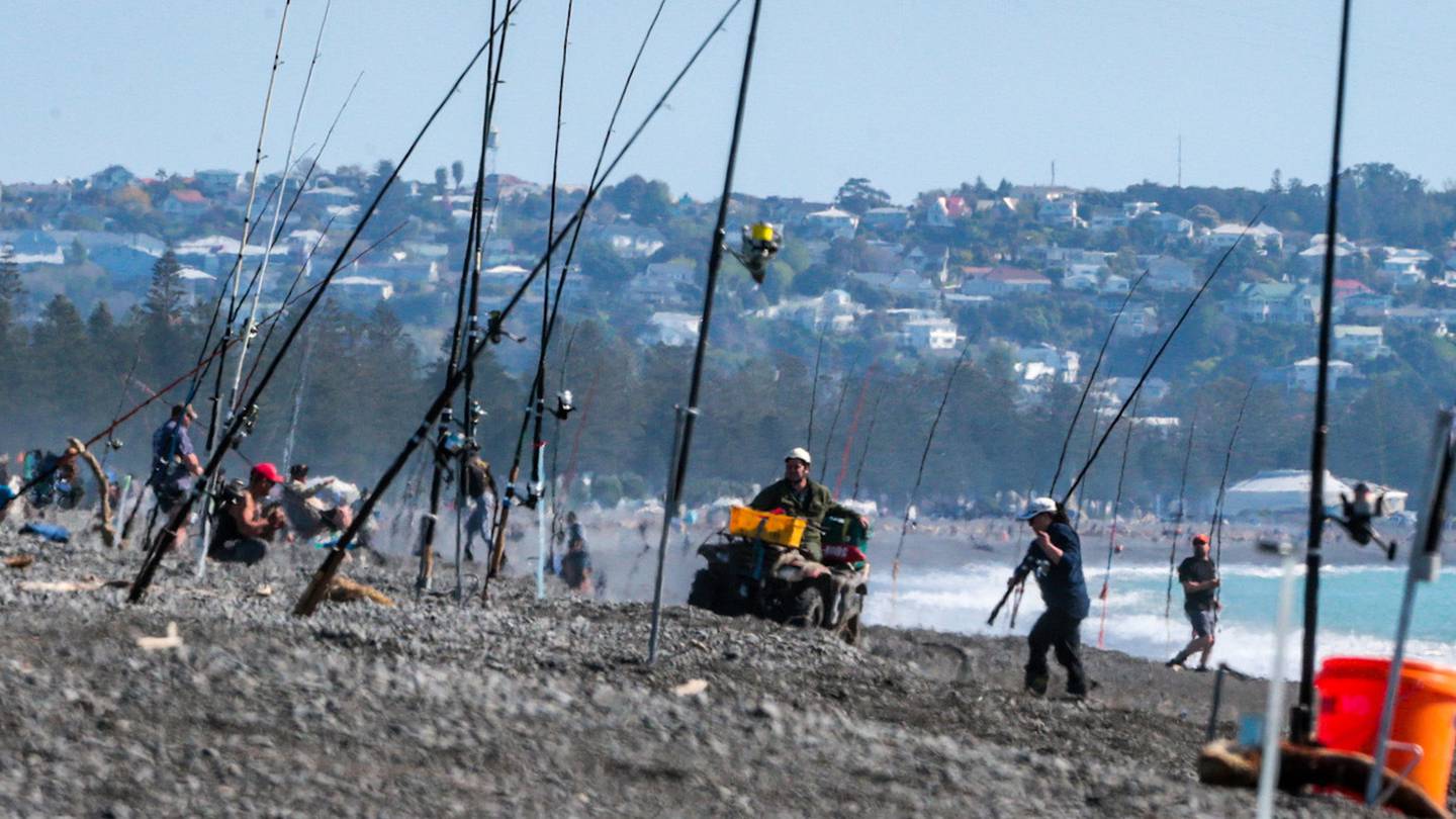 Pania Surfcasting Club running the Kahawhai Surfcasting competition in sunny weather along Pacific Beach, Napier, on Sunday. Photo / Paul Taylor