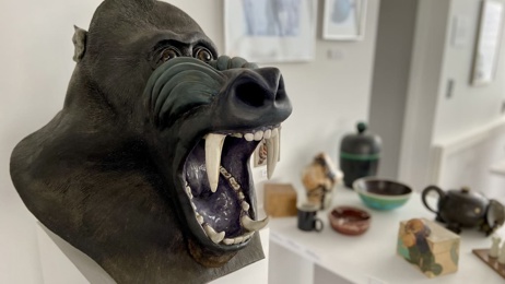 Whanganui District Council rejects funding request from Quartz ceramics museum