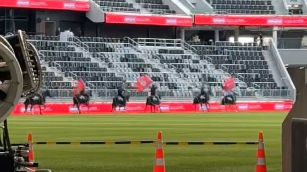Crusaders horses return to One NZ Stadium after retirement call