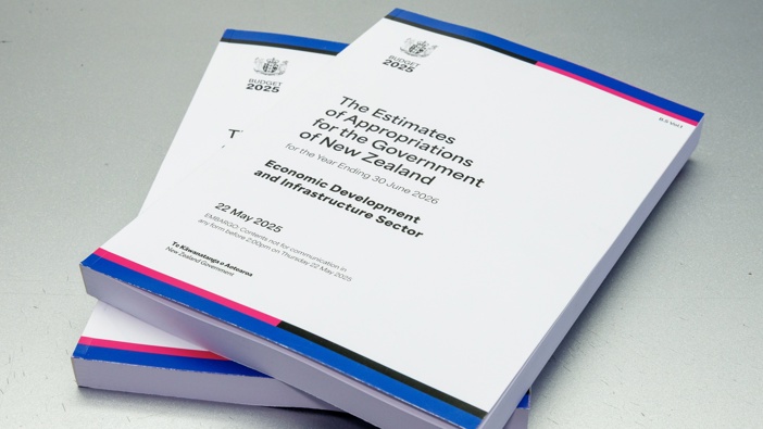 Copies of Budget 2025. Photo / Mark Mitchell