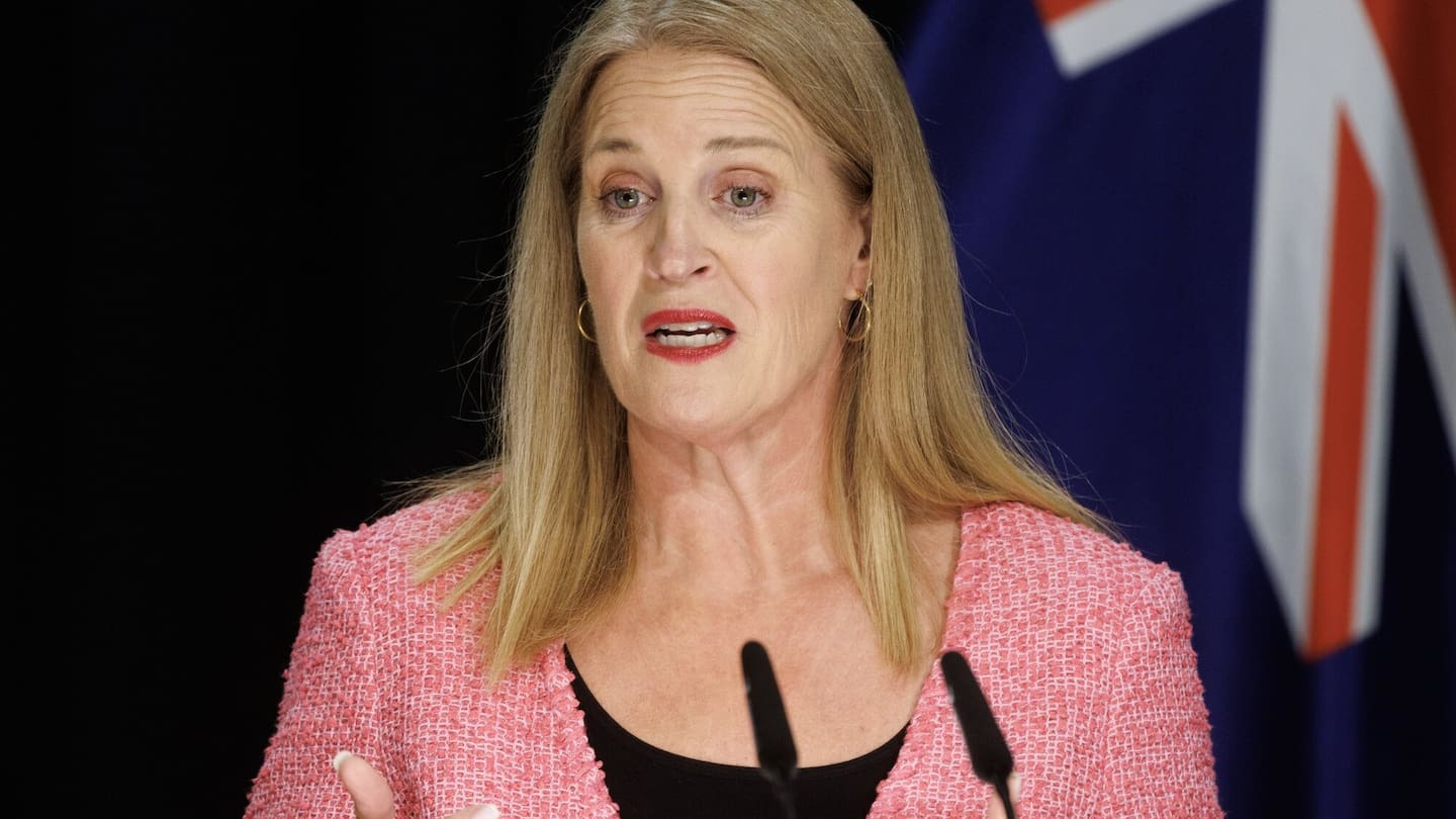 Social Development and Employment Minister Louise Upston is expanding the traffic light system for job seekers. Photo / Mark Mitchell