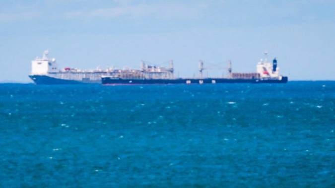 The Al Kuwait, the ship on the left, is a purpose-built live export ship and arrived in port overnight on Thursday. (Photo / Paul Taylor)