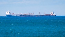 Hawke's Bay's largest ever live export shipment: 14,000 cattle off to China