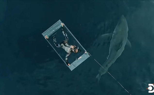 Watch: Terrifying shark attack during Shark Week stunt