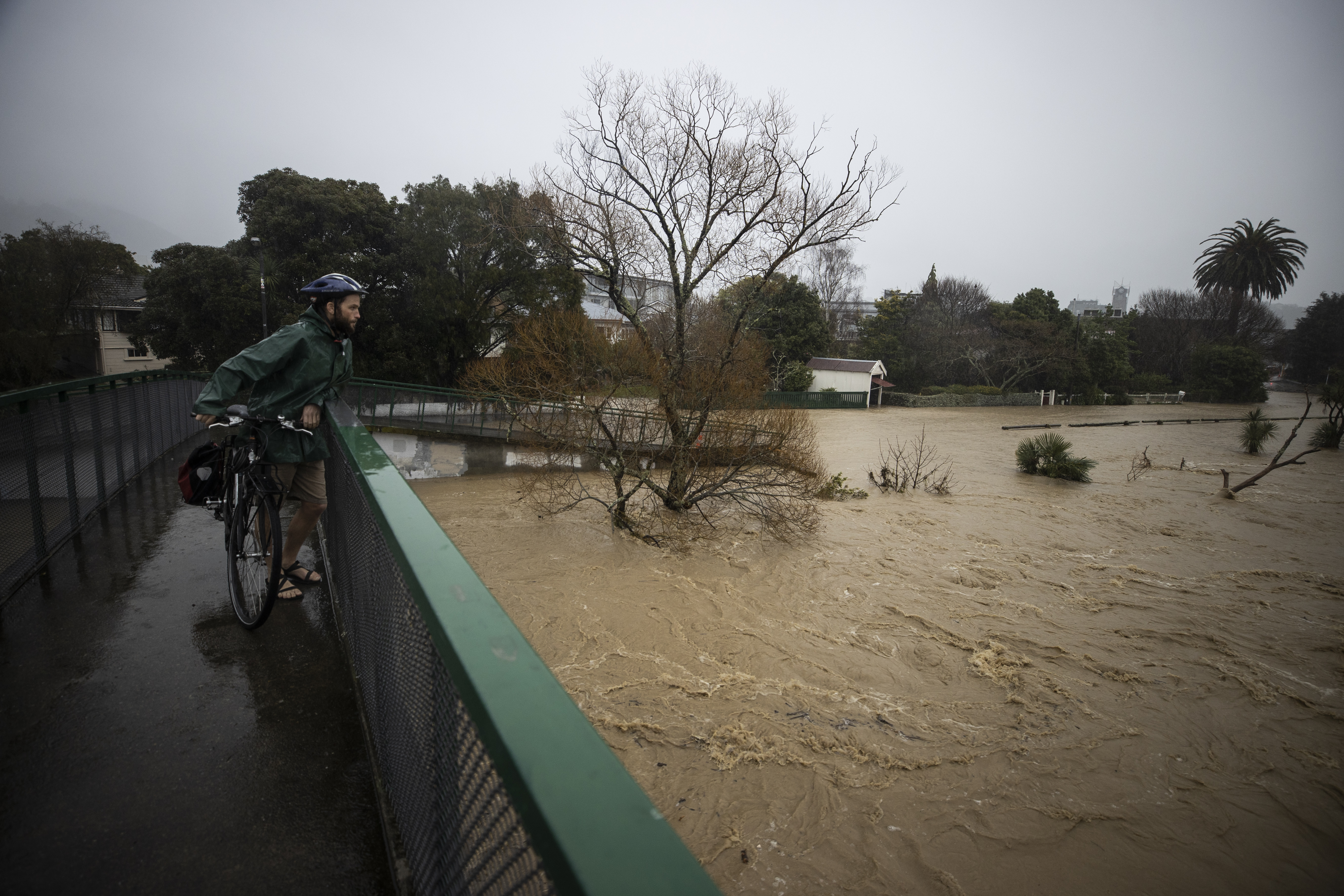 Photo / George Heard