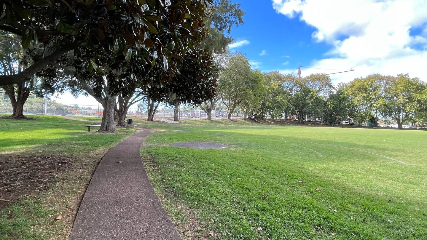 The runner said she called 111 while chasing the man through Three Kings Reserve and into a carpark. Photo / NZME