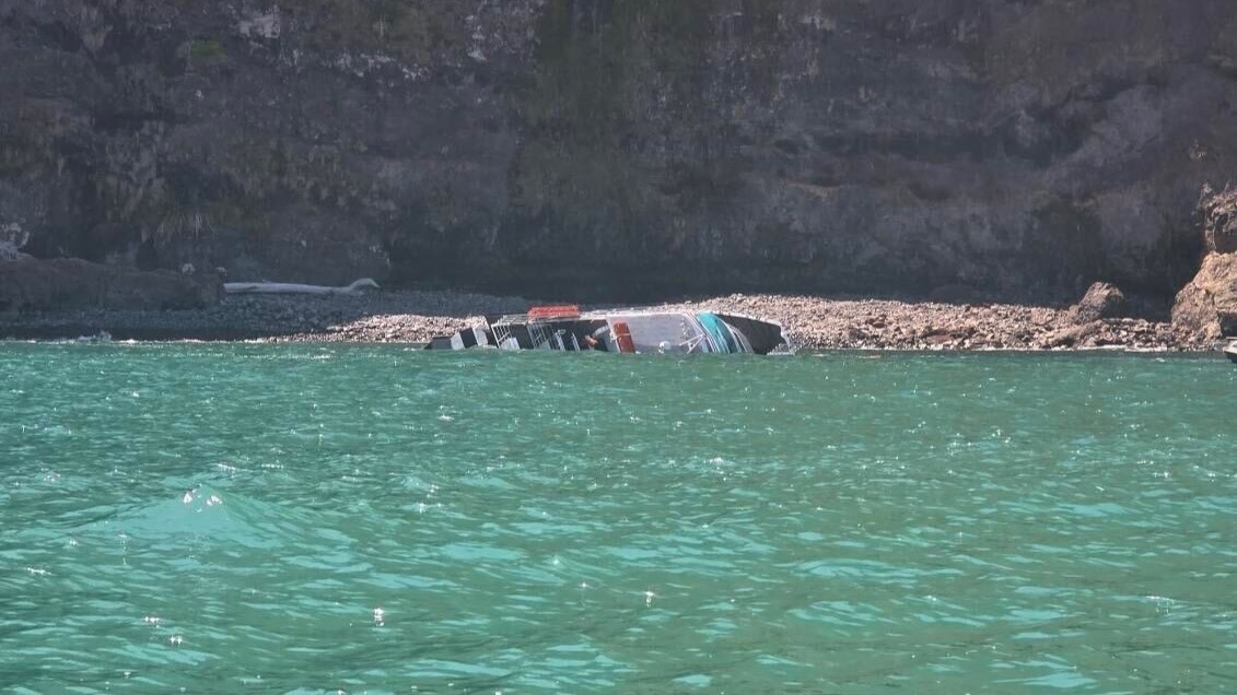 Black Cat cruise boat capsizes off Akaroa, dozens of passengers evacuated