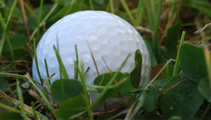 Wellington men's interprovincial golf team eyeing success on home courses