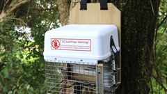 NZ AutoTraps' automatic possum and rat trap.