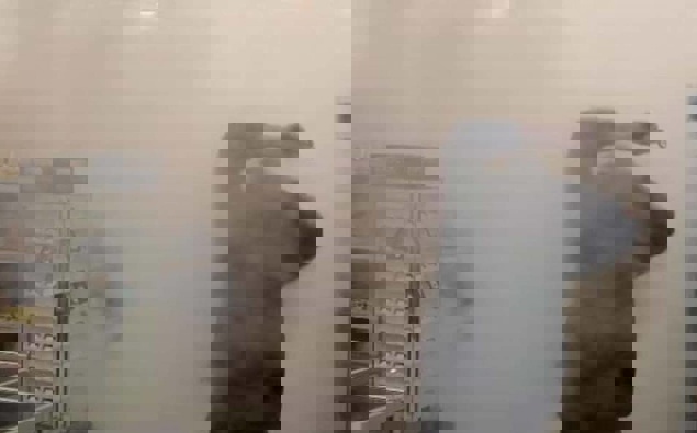 Small businesses can get subsidised fog cannons from February