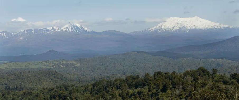 Pureora Forest Park is a 78,000-hectare forest reserve between Lake Taupō and Te Kuiti.