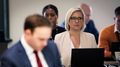 Wayne Brown's communicaitons boss Kate Gourdie ordered the release of abusive emails to councillors. Photo / Jason Oxenham