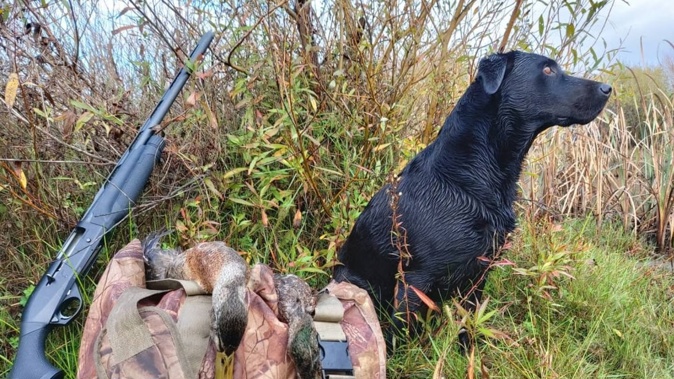 Fish & Game is expecting well over 65,000 hunters to turn out this duck hunting season. Photo / Fish & Game NZ